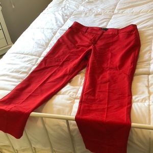 Express - Red Editor Pants